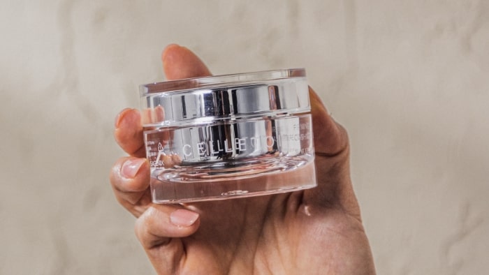 Searchable, description alt text for the image